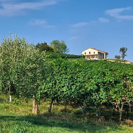 Riva Beata Apartment
