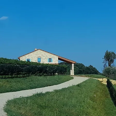 Apartment Riva Beata