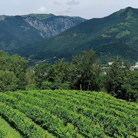 Appartamento Riva Beata Cavaso Del Tomba
